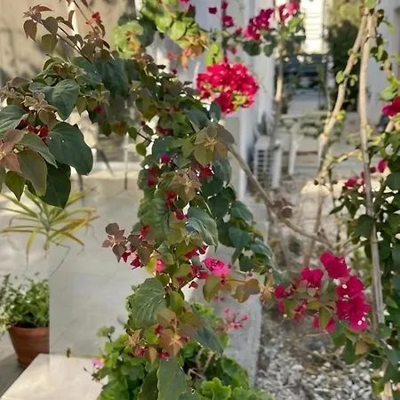 Cozy House * Περβόλια