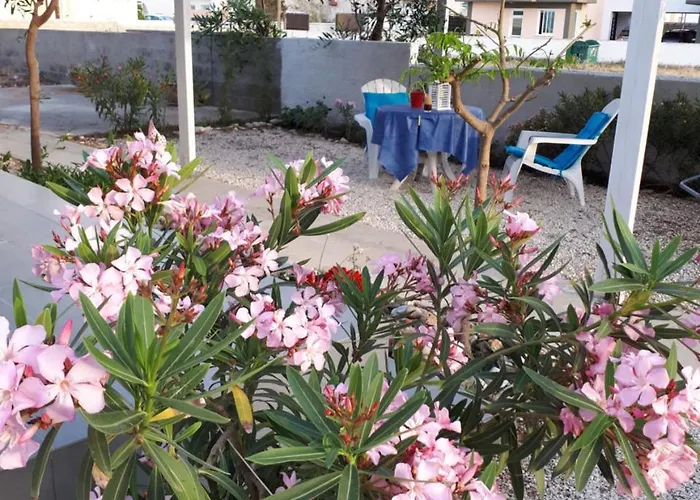 Cozy House Prázdninový dům *